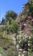 Bilder Handy 2011 184.jpg