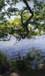 Bilder Handy 2011 207.jpg