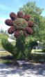 Bilder Handy 2011 210.jpg